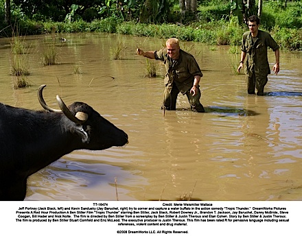 tropicthundersummer3small