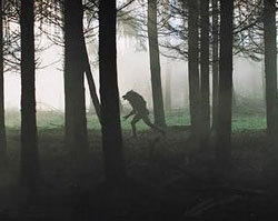 Dog Soldiers