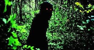 Cannes 2010: "Uncle Boonmee who can recall his past lives"