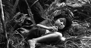 Cines del Sur 2010: "Independencia"