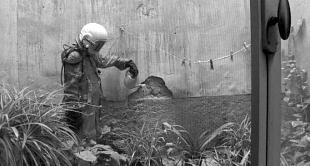 Primeras sesiones de la competición internacional del FIJR 2010