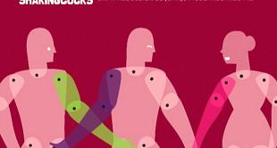 La competición internacional del FIJR 2010 llega a su fin